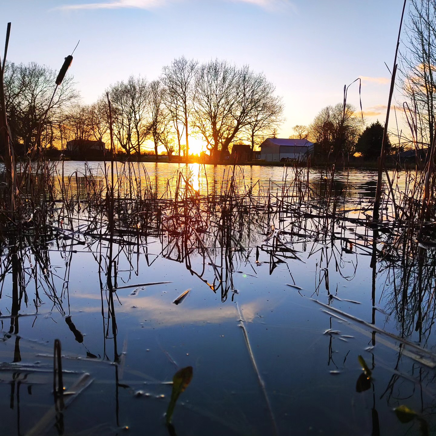 the cyder farm,outdoor sauna in Suffolk at Cyder Farm